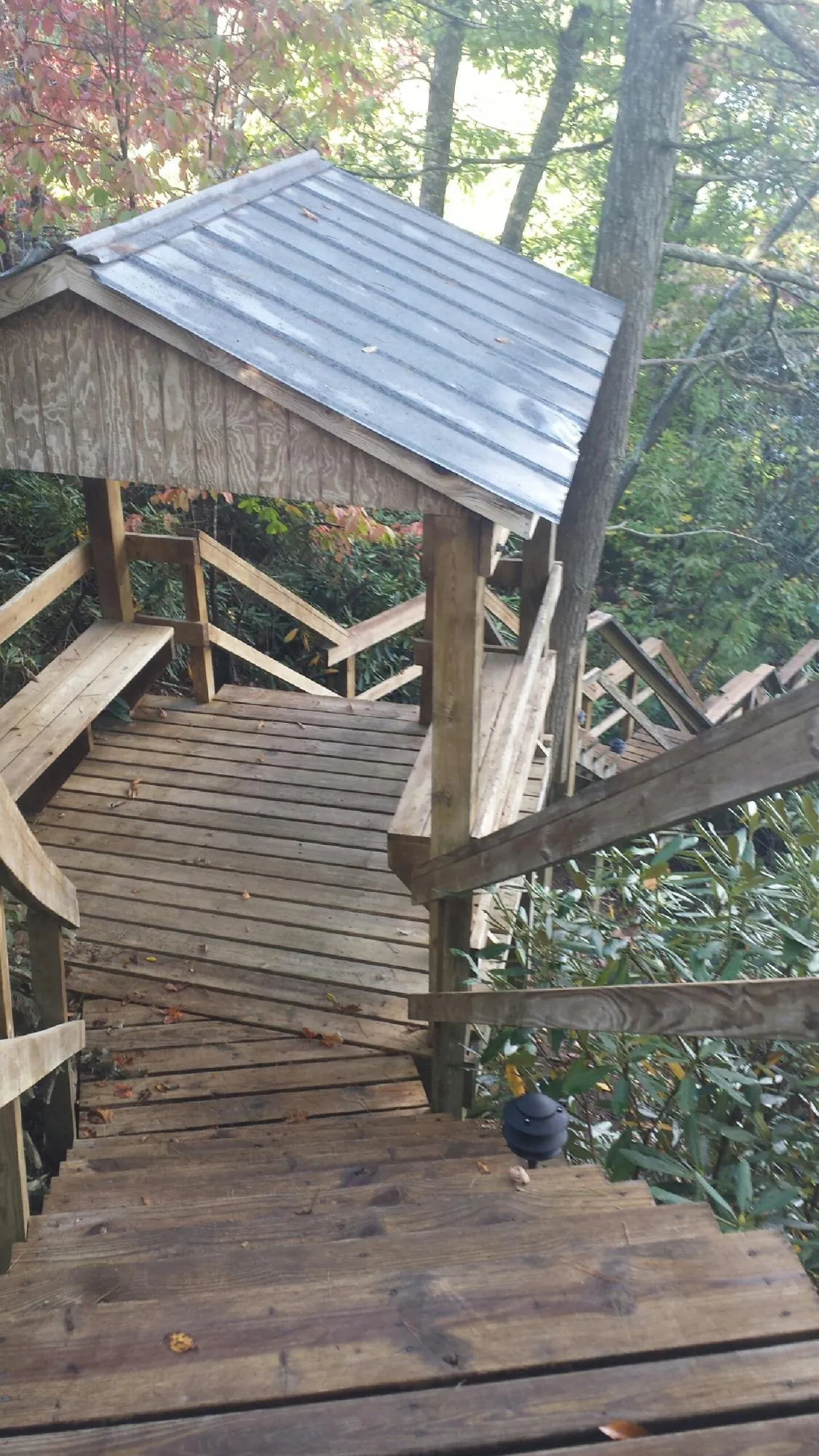 Metal roofed shelter over wooden steps on a wooded walkway — Skylight Repair & Installation work by our crew in Marblemount