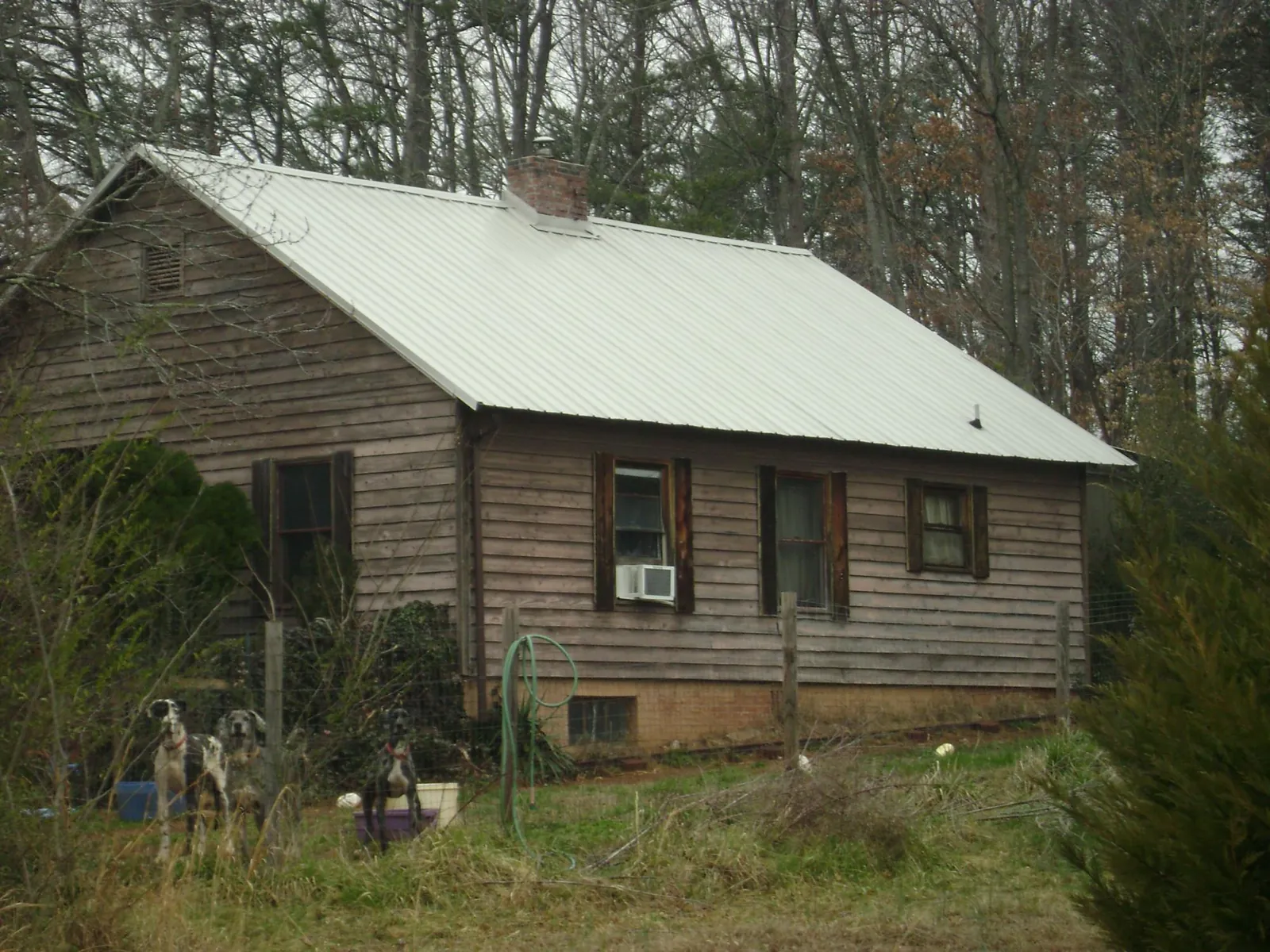 White metal roof on an old wood sided farmhouse, from a Metal Roof Installation job in Marblemount